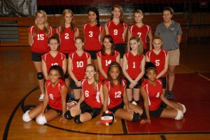 2012-2013 JV Volleyball